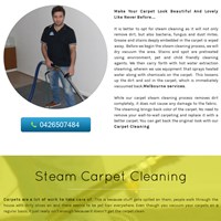 Портфолио pastierelease